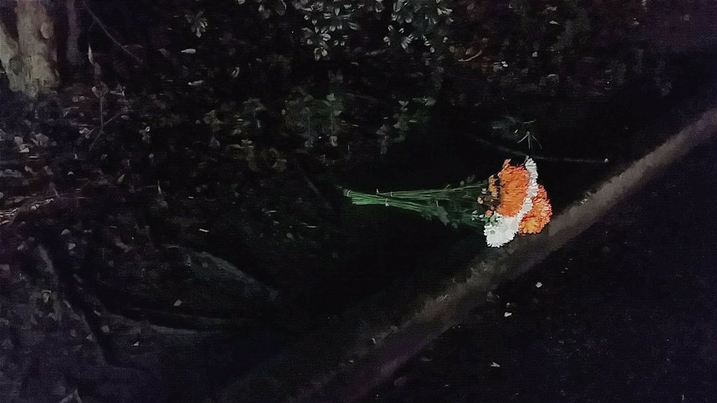 LoveMollyKate's tweet photo. .@Andrew_Eck sent me this photo, he left flowers where our fellow #Mercerian fell #BearStrong https://t.co/FdoOTTV9Lg