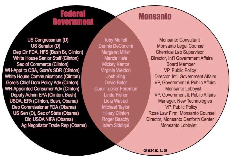 Glenwoodens's tweet photo. #ImWithHer #HillaryStrong #WeSupportHillary ##IowaCaucusresults Monsanto & Goldman Sachs support Hillary, #NoBrainer https://t.co/d27MFePlAL
