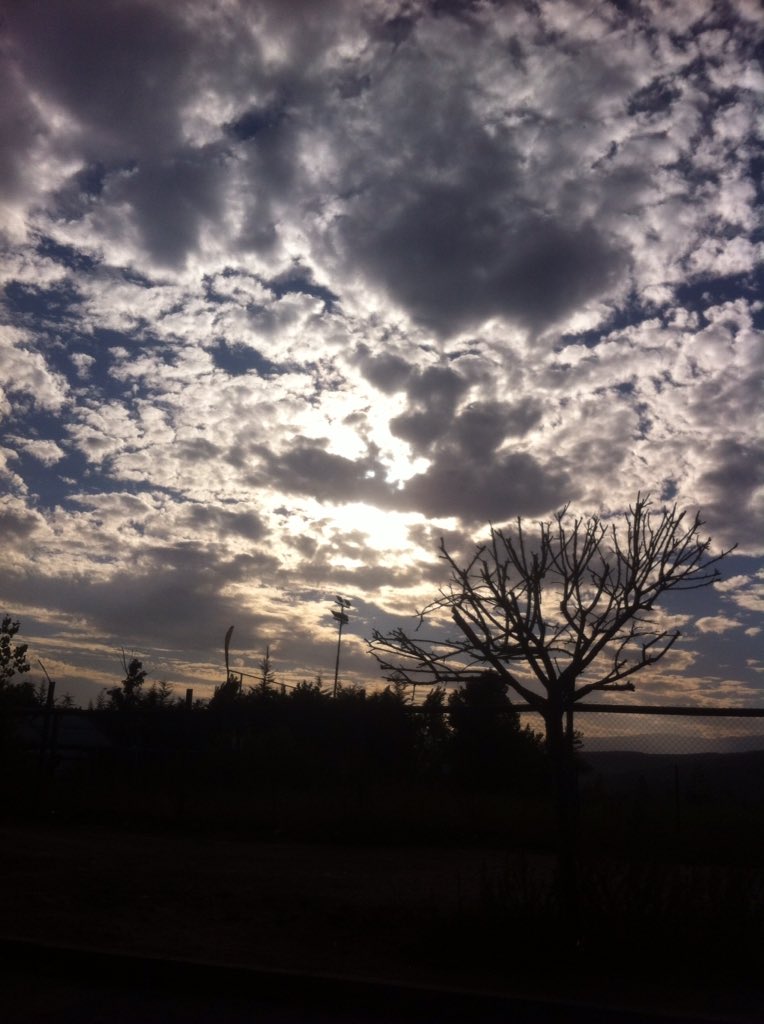 freespiritlive's tweet photo. #SinFiltro 
Algún día llegaremos a ese devastador cielo. https://t.co/H9OOmb554M