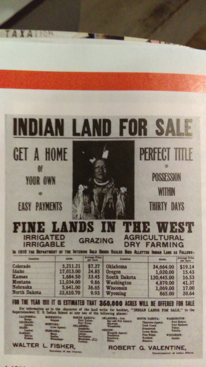 kosta_tha_pasta's tweet image. Natives lost their land but not their hearts and souls #universal #nativeflo #hollakost