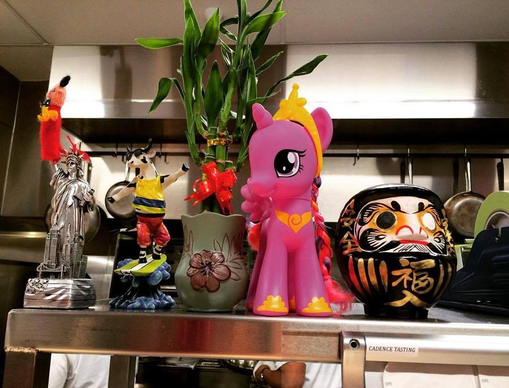 All of the best station buddies at @cadencesf.