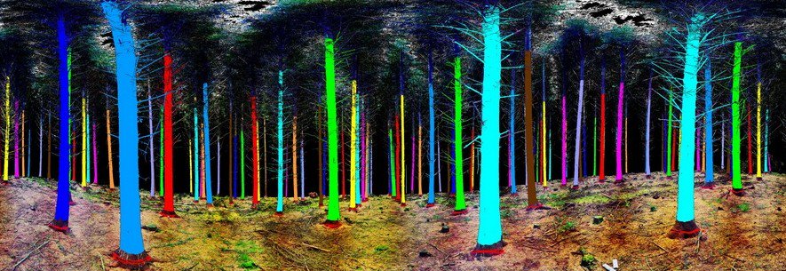 ESA_Tech's tweet photo. #ESATech image of week: woodland 'seen' by 3D laser scan, for enhanced forest management: https://t.co/yTEnCeCdcv https://t.co/JtSGInNS5I