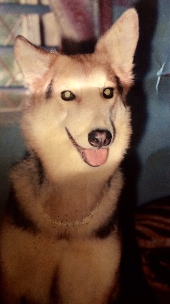 Bhavna Saxena tweet media