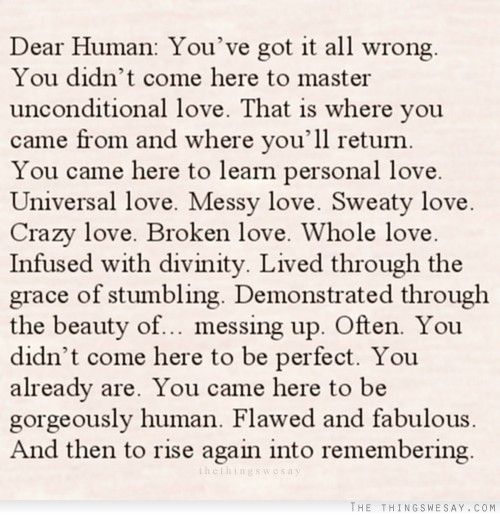 BillythebeeYoga's tweet photo. Dear Human, unconditional love is over-rated :) https://t.co/3xIv8RMUo0