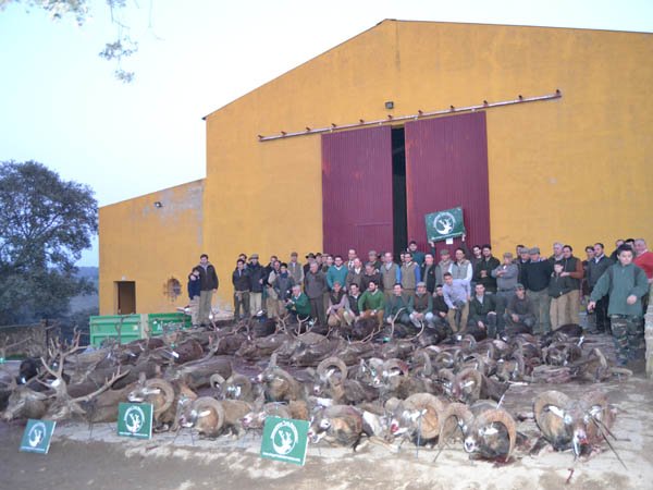 MontearInfo's tweet photo. Crónicas - Navalentisco, el placer de cazar en Andújar https://t.co/GvImoyfAGV https://t.co/M0rFiymICY