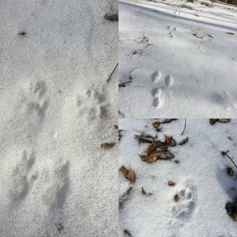 metroparksNRD's tweet photo. In case you missed it! https://t.co/8SE4t0xNFS https://t.co/ULmUy57cYK