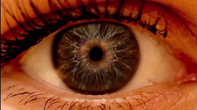 UMKelloggEye's tweet photo. Which drug is best for treating diabetic macular edema, an eye complication of diabetes? https://t.co/EdQzys07Tx https://t.co/PGRVia5wyr