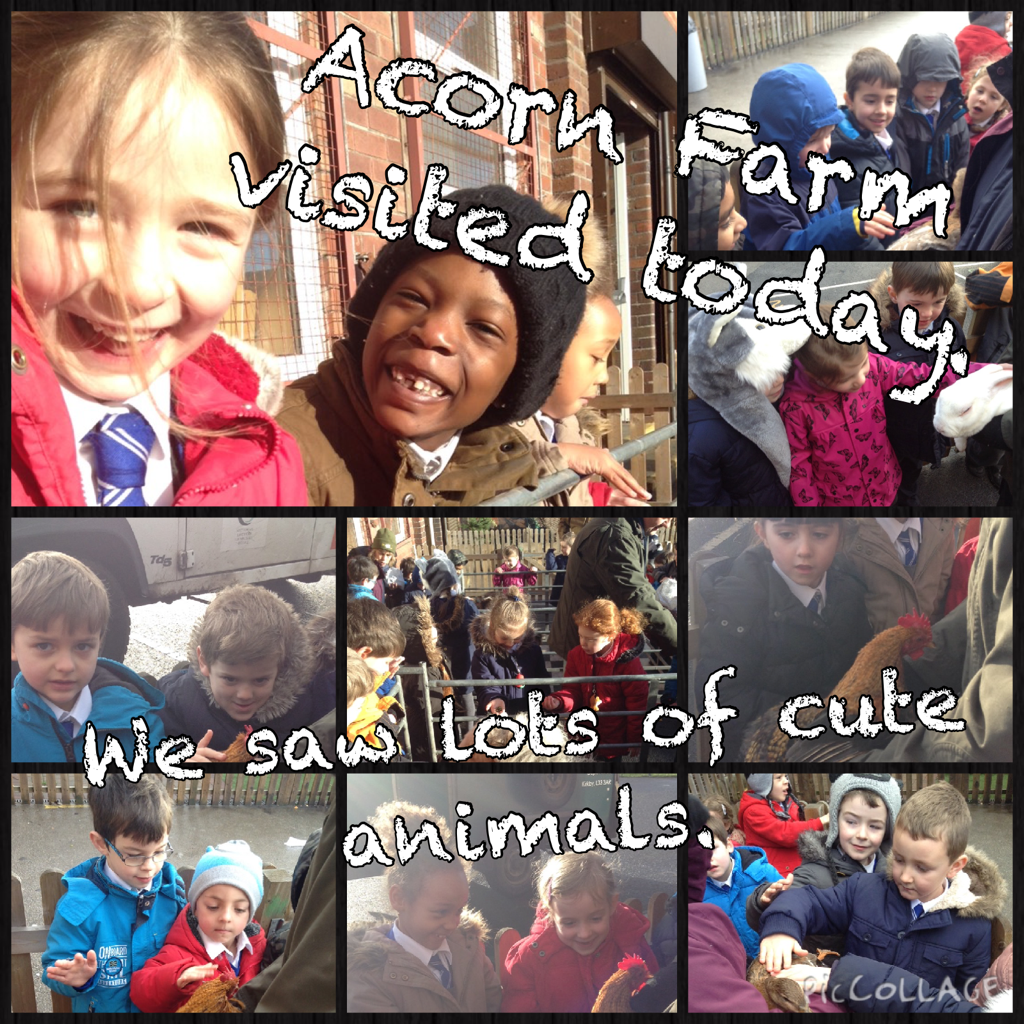 MosspitsYr1's tweet photo. Wow! @acornfarm1 Farm visited Year 1 today. We met lots of interesting animals and  https://t.co/SxO1cX07r4 https://t.co/gbFrB5vzxG
