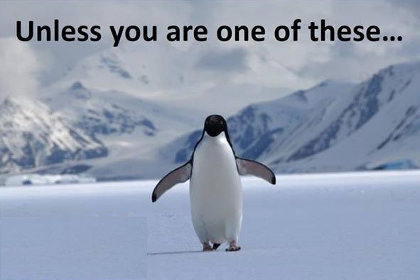 BoatingInCanada's tweet image. RT @CdnYachting: Stay Off the Ice...Altogether..No Joke...#ItsNotSafe ow.ly/XTmrT  #Ontario