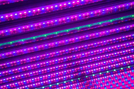hortidaily's tweet photo. Large-scale growth chamber project in Belgium #certhon
https://t.co/couKDynuss https://t.co/x30MnAcSQR