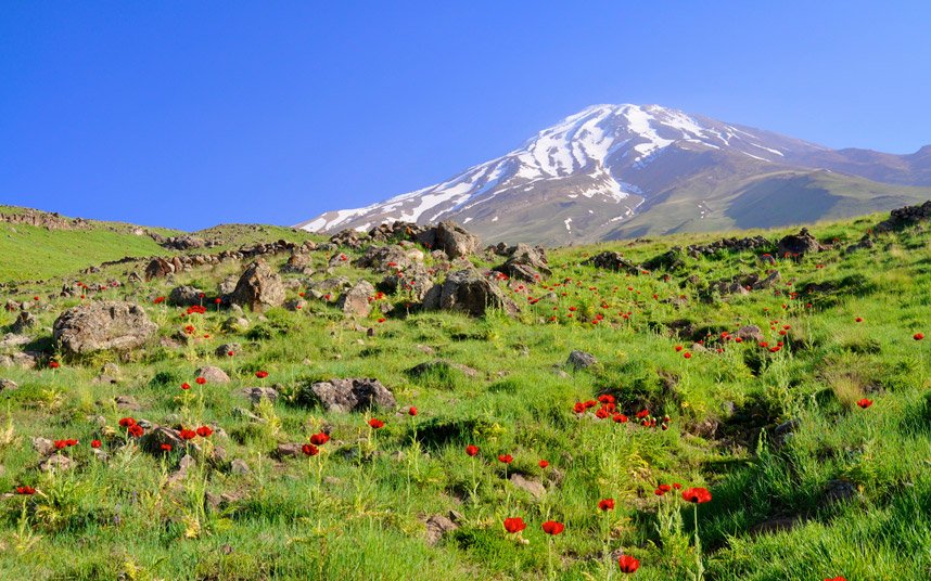 TelegraphTravel's tweet photo. . @British_Airways confirms direct London to Tehran flights relaunch from July #MustSeeIran https://t.co/01jzywosUz https://t.co/SUAagbi32Y