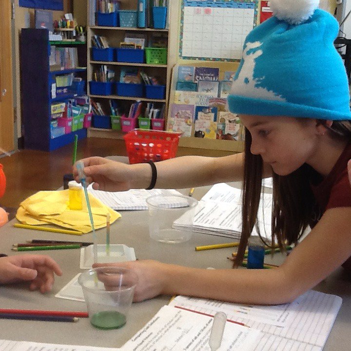 journeysschool's tweet image. The next generation of scientists working hard! #fourthgradescience #youngscientist #growingkids