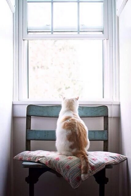 AyaStarkk's tweet photo. It's so lonely to live alone.
 มันช่างเหงาเหลือเกินกับการใช้ชีวิตคนเดียว

#คําคมโดนๆ https://t.co/GW11EUoETD