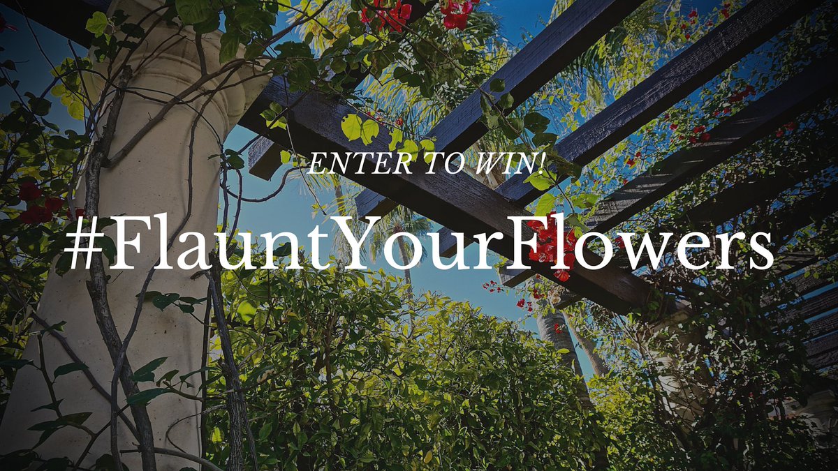 Share a photo of you &amp; your valentine to win a prize package from us &amp; <a href="/cactusflower72/">Cactus Flower</a>. RT w/ #FlauntYourFlowers!