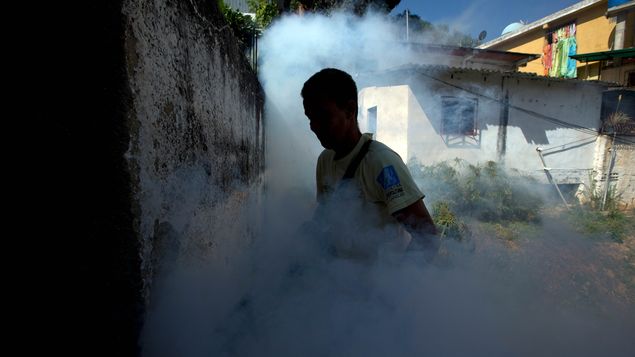 Telemetro's tweet photo. Cancelan carnaval en ciudad de Brasil por zika >> https://t.co/18kIzryLJe https://t.co/IGD2rveZ9E