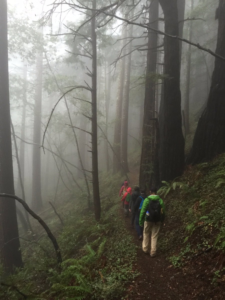 bitbuilding's tweet photo. Behind the Scenes: One year since an intrepid gang walked in the rain to name BIT. @lindsaytherobot https://t.co/pVfQcwfW04