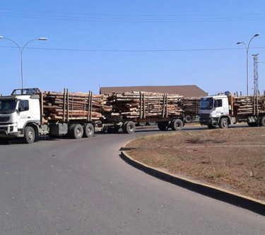 izq_libertaria's tweet photo. Trabajadores paralizan a Forestal Arauco diciendo "No somos carne de cañón del empresariado" Sigan a @Fetraforma! https://t.co/m7bILUYH6z
