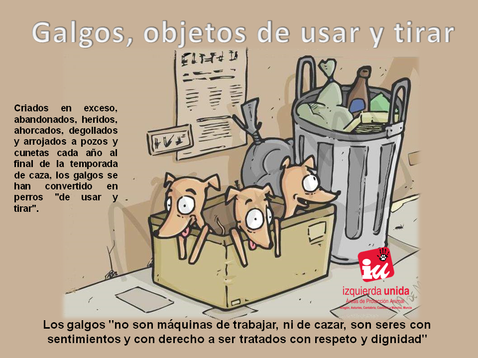 IuCantabPanimal's tweet photo. Explotados hasta límites insospechados,los galgos se han convertido en perros "de usar y tirar".Cambiemos su destino https://t.co/J4MMW7sc5e