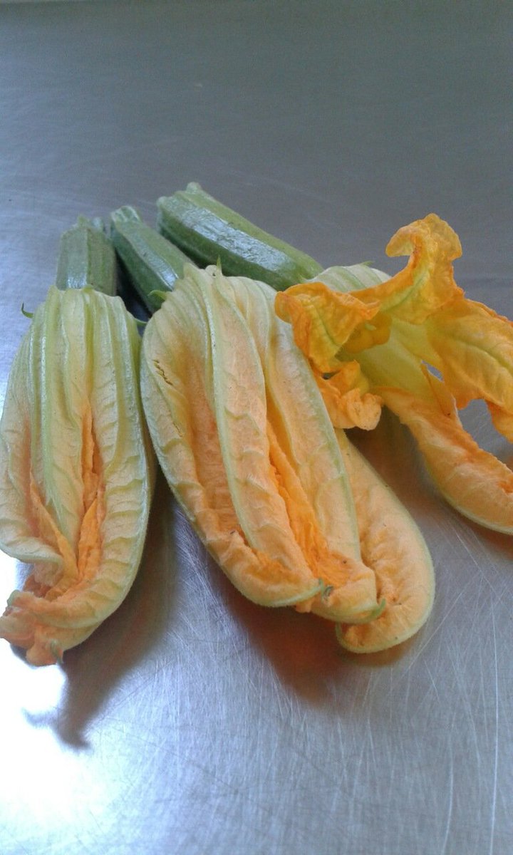 FMyanmar's tweet photo. Delicious zucchini's flowers https://t.co/GOsYQQcLw7