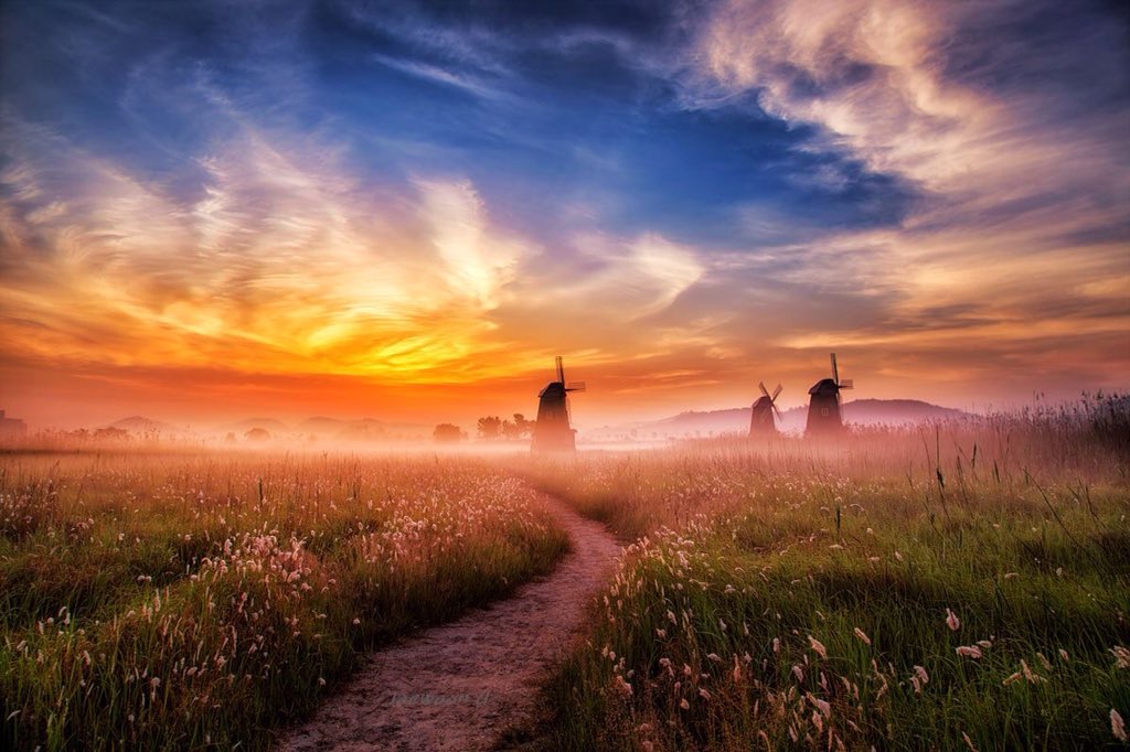 ramblingsloa's tweet photo. Be willing to be a beginner every single morning.

Meister Eckhart https://t.co/Q2B7ZQXj7R