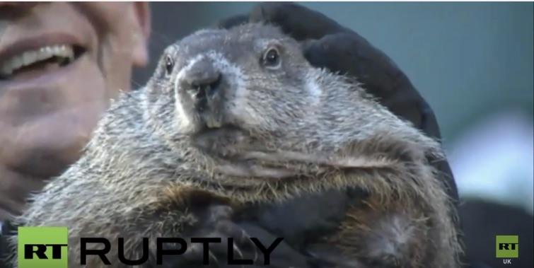 America's most famous groundhog checks for his shadow and drops rhymes
