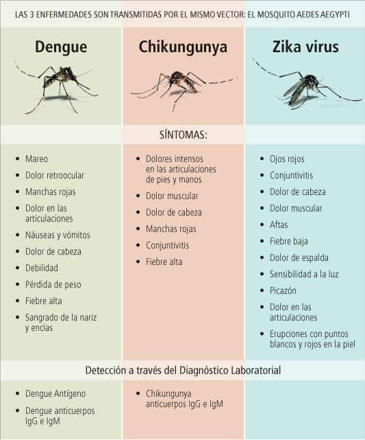 Los diferentes síntomas del Dengue, Chikungunya y Zika | Crédito: Twitter.