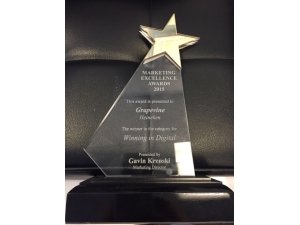 GrapevineSA's tweet photo. We're super stoked about our two Brandhouse Marketing Excellence Awards! https://t.co/AgCCalkxdZ via @ITWeb https://t.co/PFE64MUEQN