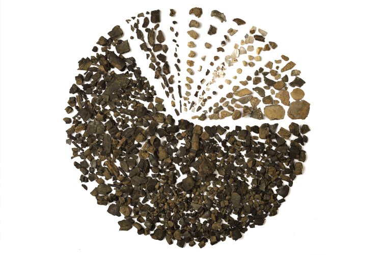 MustFarm's tweet photo. All this material has come from a 6ltr sample! Masses of charcoal, lots of pottery fragments, animal bone and more! https://t.co/t01sII0vLI