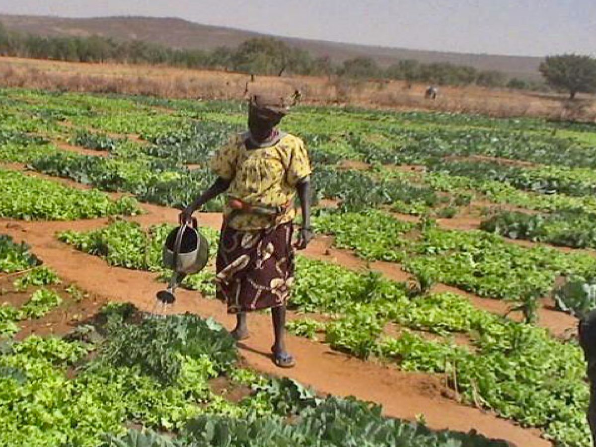 abc_niger tweet picture
