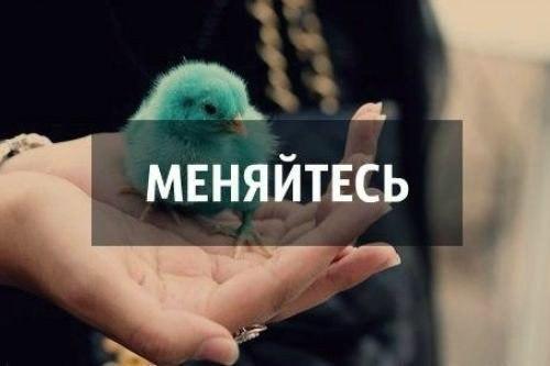 yawantt's tweet photo. ...слышать только правильные советы https://t.co/SG4IDvE7wj