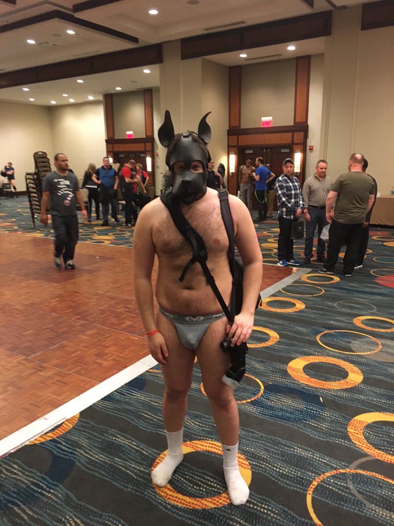 pup_mason28's tweet photo. Puparazzi at #mal2016, I love my job 🐶🗣💖🤘 https://t.co/GGg6zuDG3q