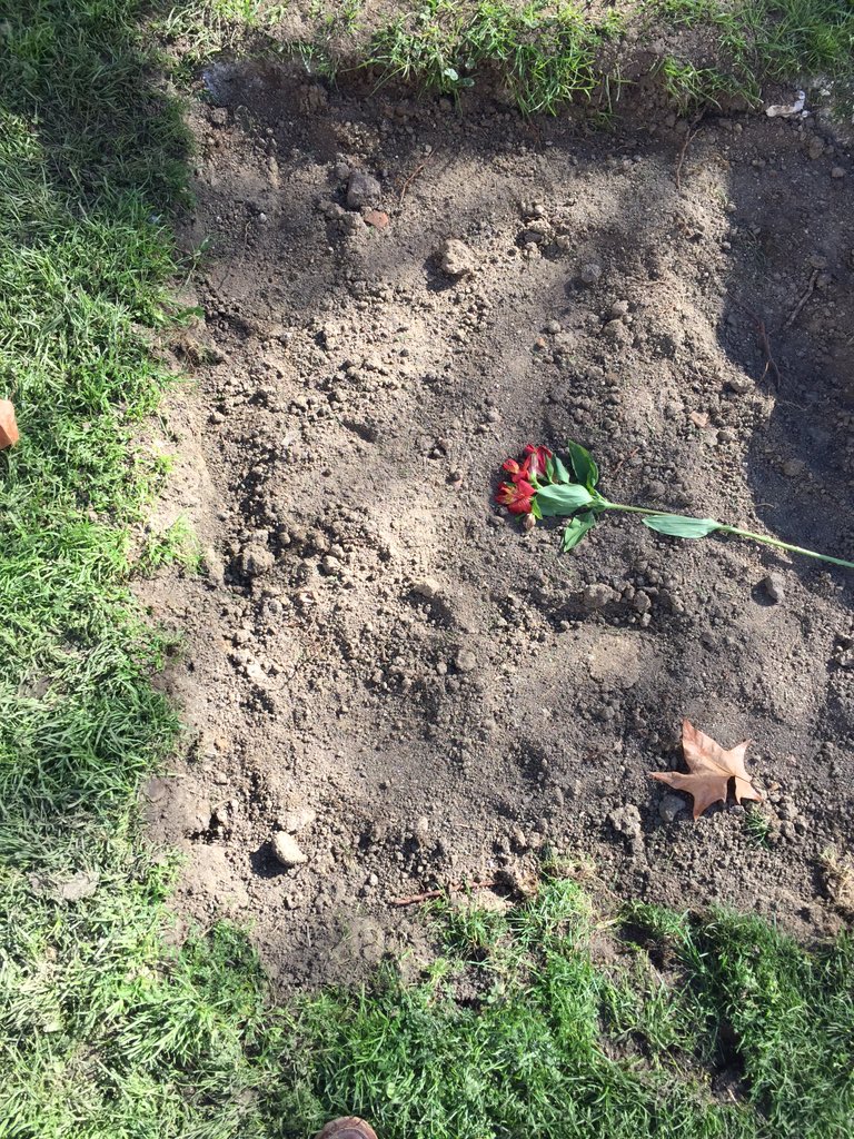 pmanglano's tweet image. Donde ayer se erigía el monolito al Alférez Provisional, ahora queda esto.   Carmena lo quitó sin permiso alguno.