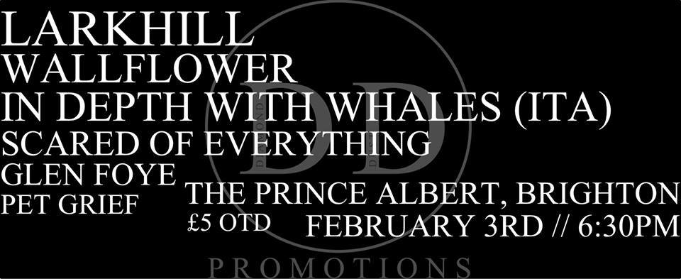 thePrinceAlber4's tweet photo. Tonight! https://t.co/MwrRYZe5SR