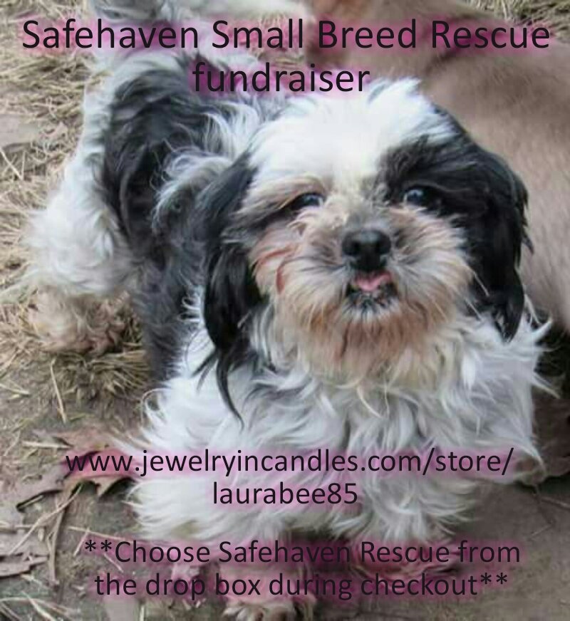 JICLauraBee85's tweet photo. https://t.co/WKbMDAgQ0A
#fundraiser #milldogs #AdoptDontShop #SafehavenSmallBreedRescue
#furbabies #PuppyMills https://t.co/jdguVidwDn