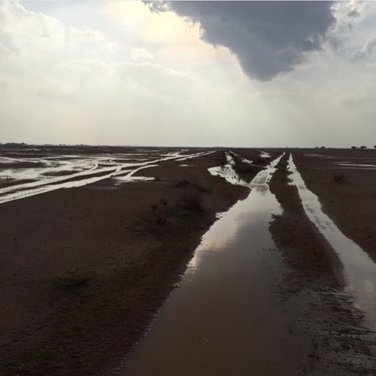 وقت تغير فيه حتى العواصيف
جا في عواصيف الرياح اختلافي

شره قناطير وخيره مقاطيف
يفطن له اللي يرضع الديد غافي
#بن_سرور