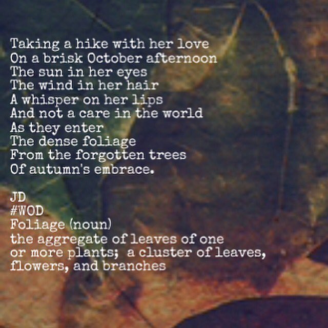 Josamey44's tweet photo. *Hike* @lettrs #WordOfTheDay #Challenge #Foliage #writer #poet #writing #poetry #words #WordArt #InspiredIWrite βοΈπ https://t.co/cKipiOhI4K