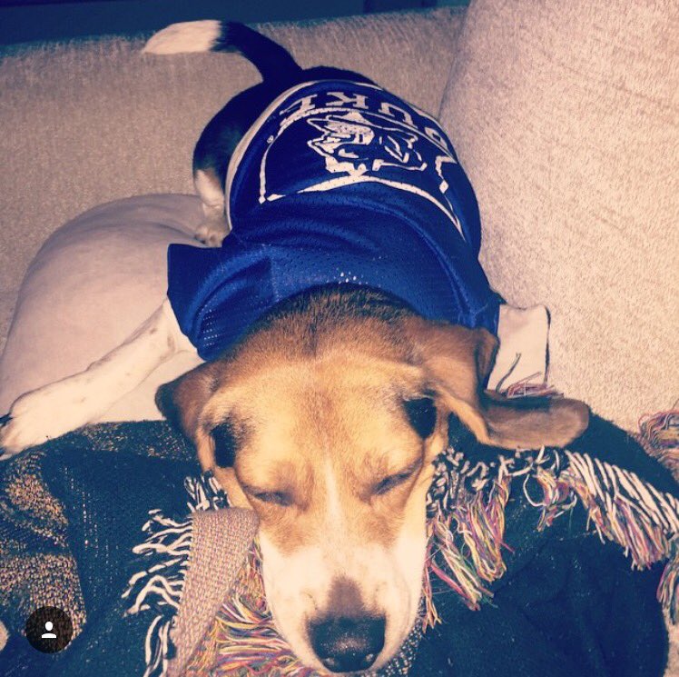 _DukeofDC's tweet photo. Hey @Duke_FB I think you forgot one recruit .. He's ready to play #NSD2016 #dukeofDC https://t.co/5C8cjkKERK
