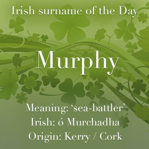 Irelandshowcase's tweet photo. Irish surname of the day - Murphy #murphy https://t.co/mHQSdccGYR