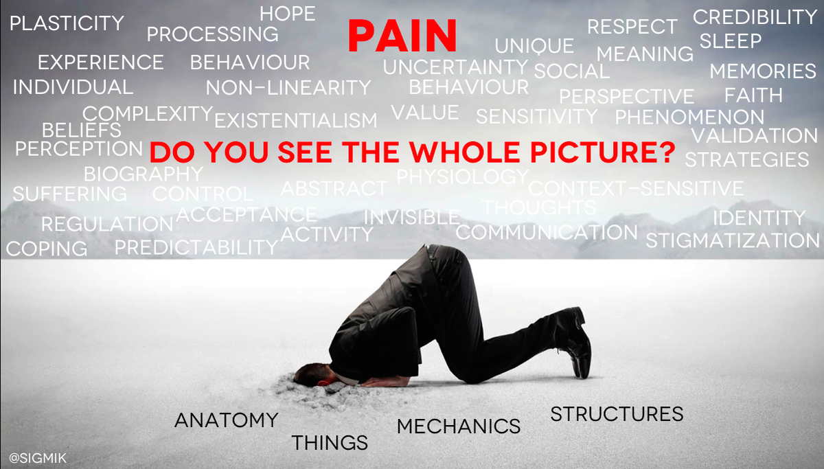 Sigurd Mikkelsen tweet media