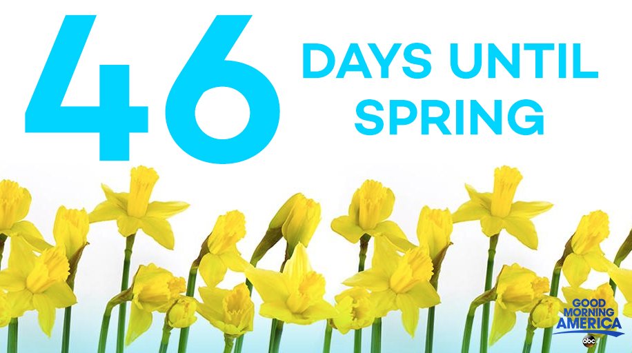 46 DAYS UNTIL SPRING! Good Morning America Scoopnest