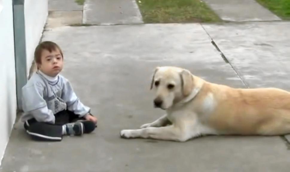 everysingletim3's tweet photo. Little Boy With Down Syndrome Is Approached By A Dog And This Happens - Read More here https://t.co/Wu3RlSelwW https://t.co/5bg3UpgjMc
