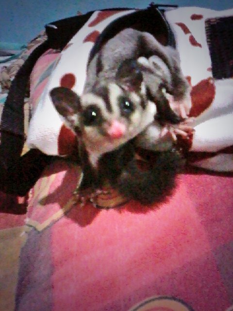 agungjunote's tweet photo. Tidur yu mod dh mlm tauu https://t.co/JXDfYIAilZ