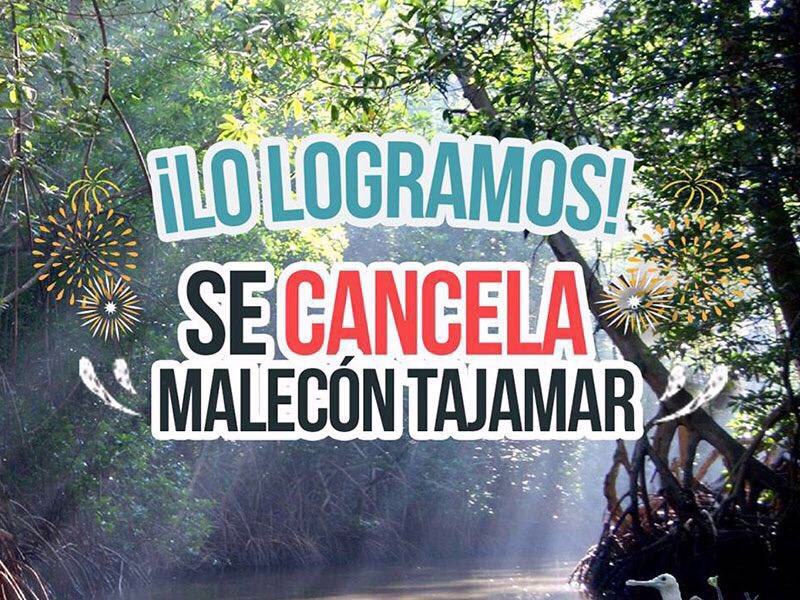 OficialOnlyMine's tweet photo. @greenpeacemx anunció, en su cuenta oficial, se logró suspensión definitiva del malecón en #Tajamar #Tajamarvive https://t.co/7cv68YPtnA