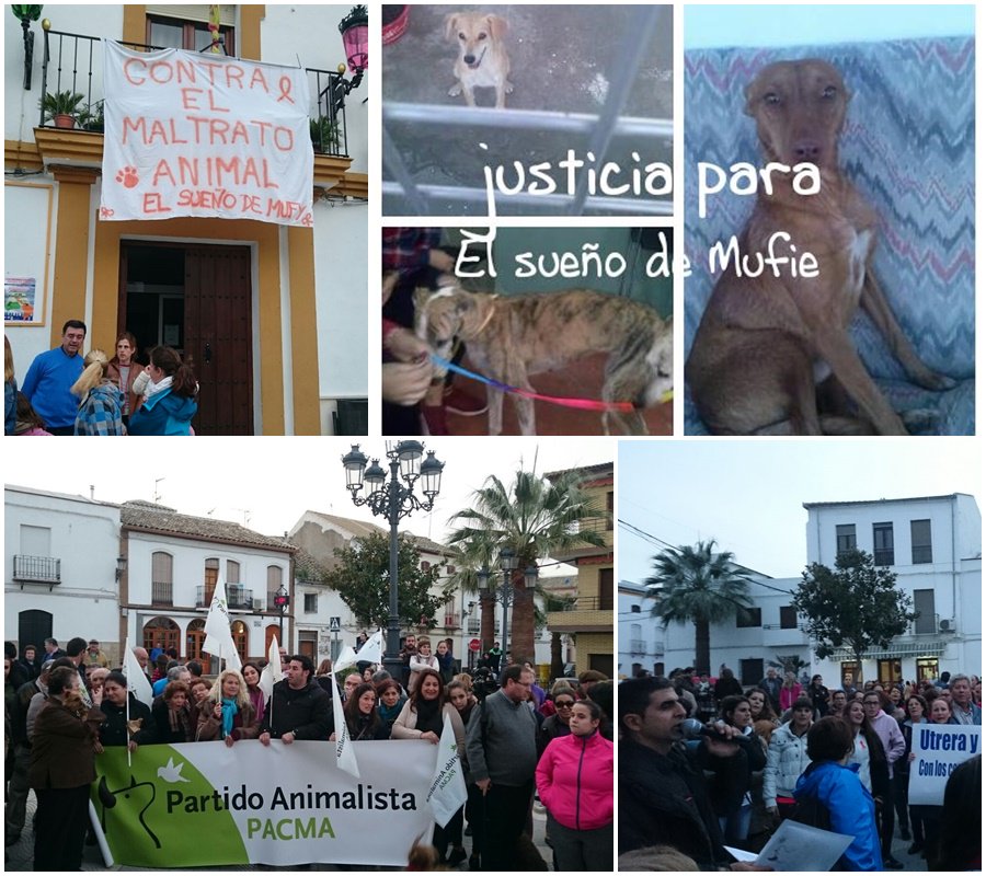 PACMAAndalucia's tweet photo. Ahora mismo estamos en #Saucejo apoyando @Refugio_Mufie  #NoAlMaltratoAnimal GRACIAS A TODOS POR ACUDIR Y DIFUNDIR https://t.co/lsXkJOhV95