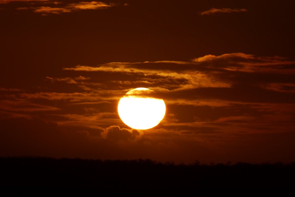 Ssunshot's tweet photo. #Groningen # Leekstermeer #Zonsondergang #3Feb2016
@RTLnieuws @Helgavanleur @Mooieluchten @Mooielucht @WNLVandaag https://t.co/Lh8N2NMqL8