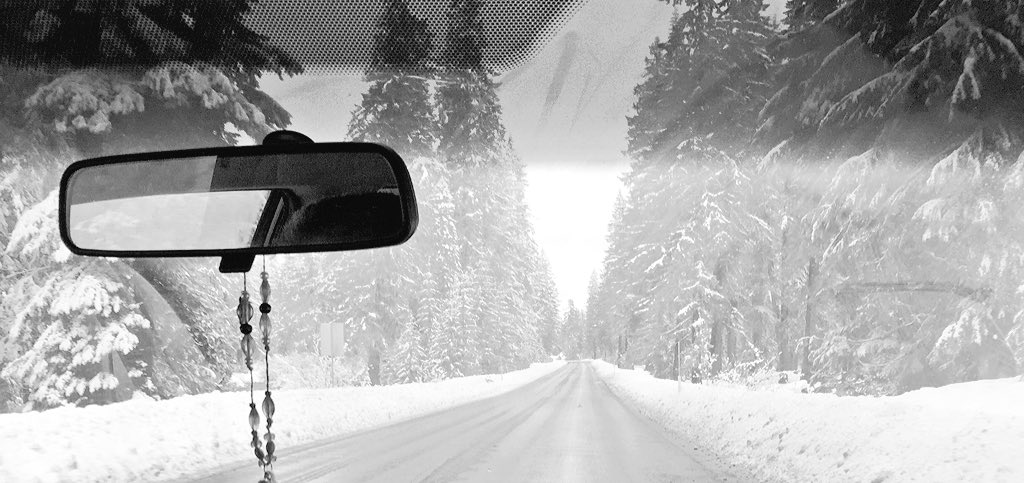 LindKayy's tweet photo. Oregon kept a piece of me there ๐ฒ#backseater https://t.co/EjfQVeQv6D