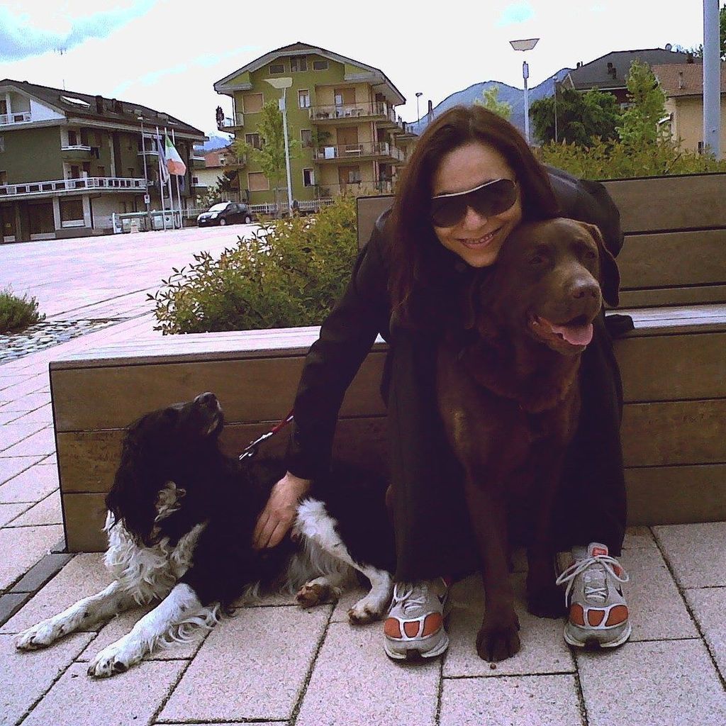 StefRivetti's tweet photo. #memories
My Dagoberto & Diana
#missyou
#labrador #retrievers #dogsofinstagram #springersp… https://t.co/24pppX1hWf https://t.co/T9YsrROCYl