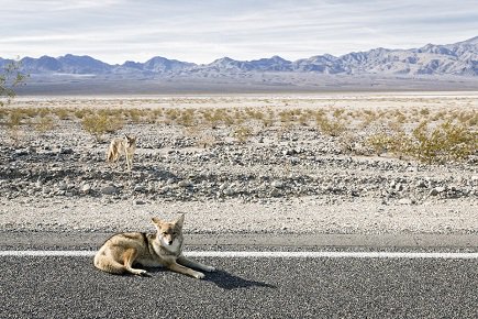 CoEditCollect's tweet image. In our Q&amp;amp;A with @ty_cole we discuss the art of photography and the diversity of his work bit.ly/1mdNlbr