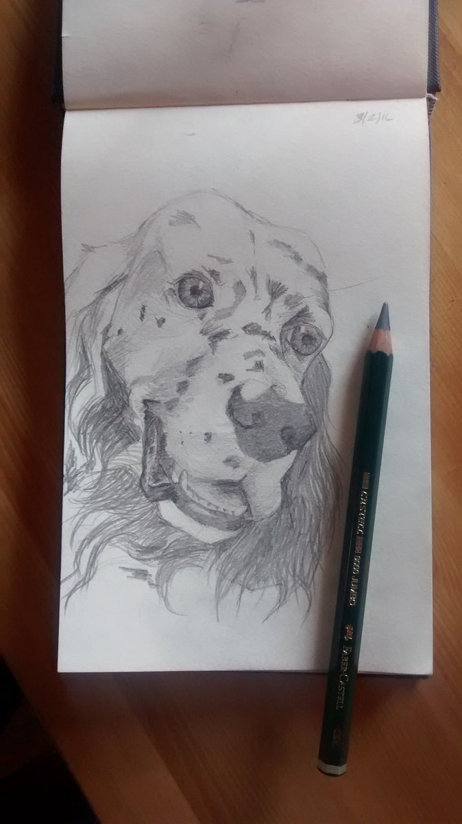 Purpulpo's tweet photo. Drawing the dog again #dog #drawing #setter #PUP #sketch #pencil https://t.co/TlaBVIUqqw