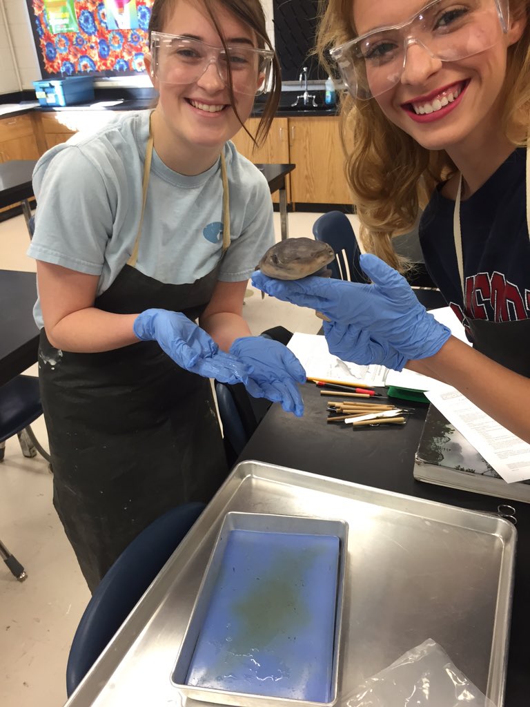 Susan Riggs (@SusanRiggs10) | Twitter